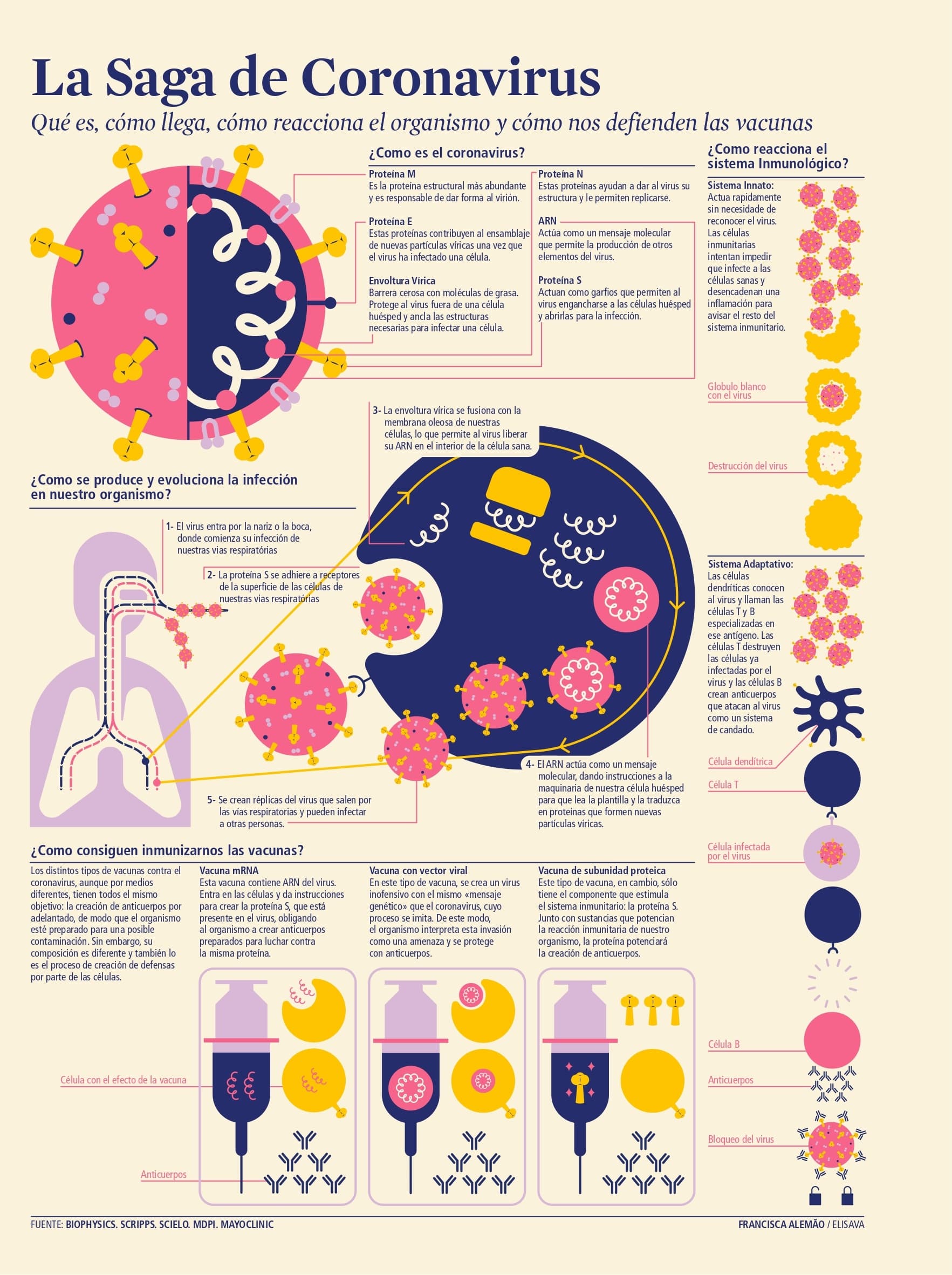 Master Infographics